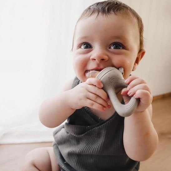Grignoteuse bebe | Diversification Sûre - Bébé Bambin